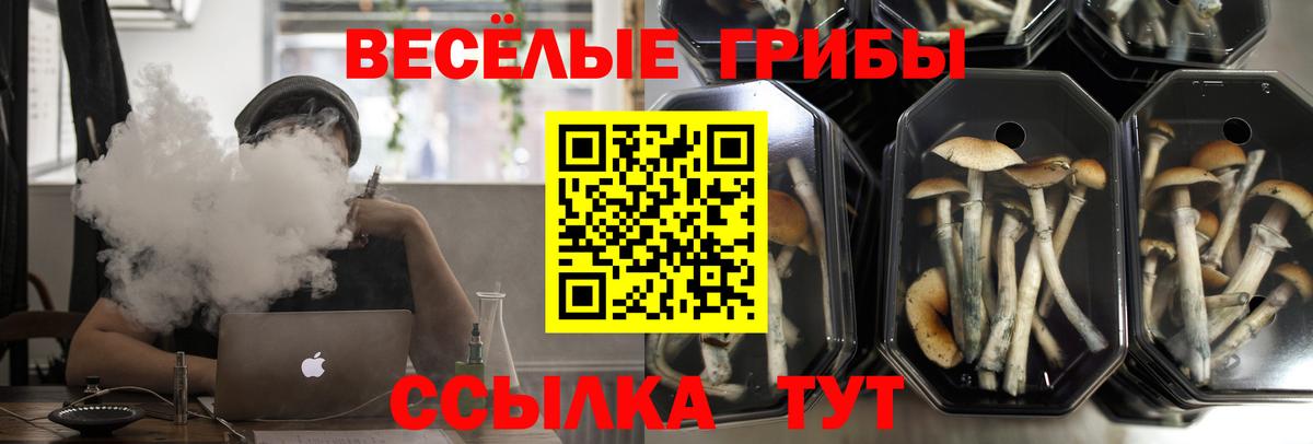 Псилоцибиновые грибы ЛСД  Псилоцибиновые грибы прущие грибы  Вход с VPN  Конаково 
